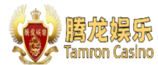 腾龙公司 Logo